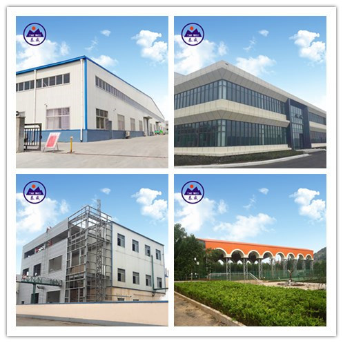 Large Span Light Weight Steel Structure Building for Warehouse/Workshop/Shed (TW816J)