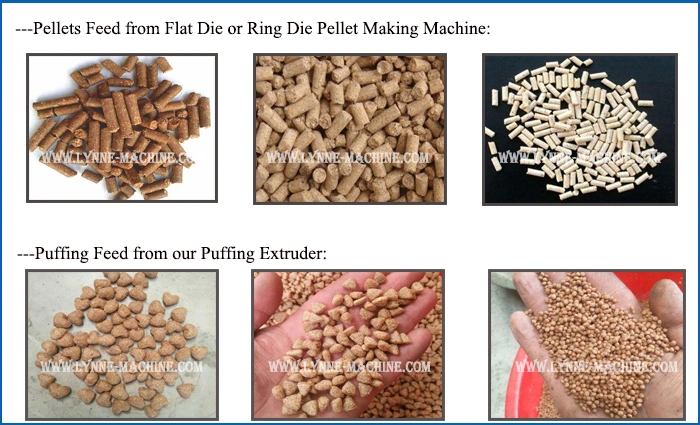 Automatic Dairy Farm Small Animal Pellet Feed Extruder From China Factory