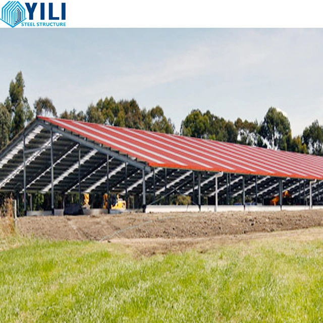 Pre Engineering Low Cost Prefab Steel Structure Cowshed