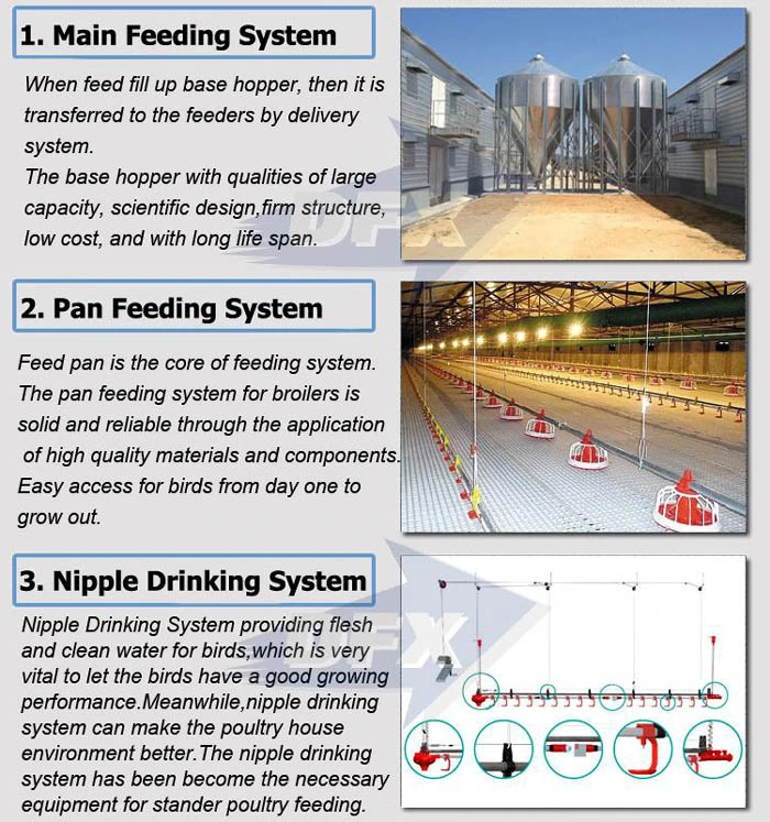 Agriculture Light Steel Prefab/Prefabricated Cowshed/Cattle Farm for Poultry House