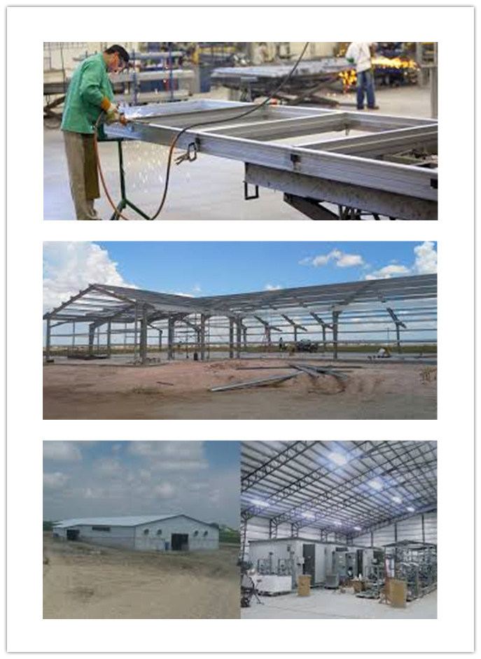 Structural Engineering Storage Steel Buildings in Israel (TW442J)