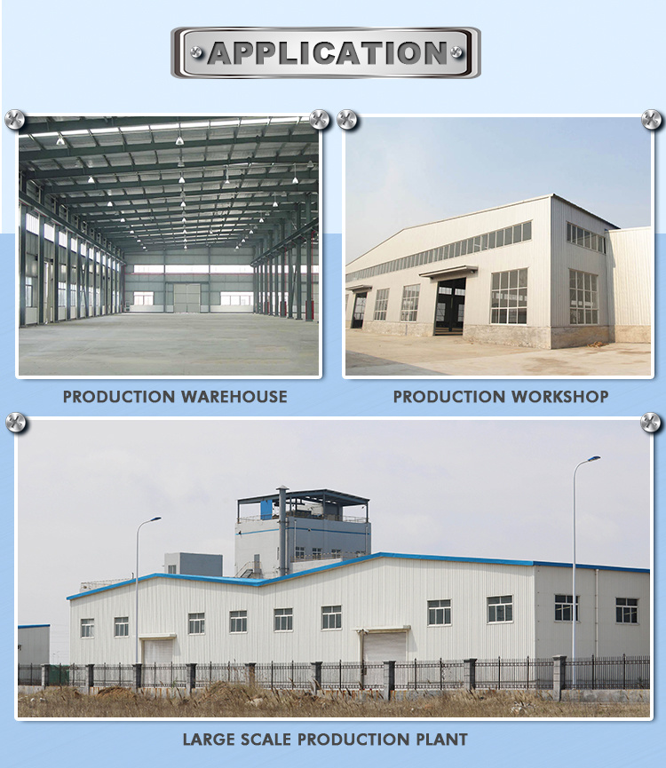 Large Span Light Weight Steel Structure Building for Warehouse/Workshop/Shed (TW816J)