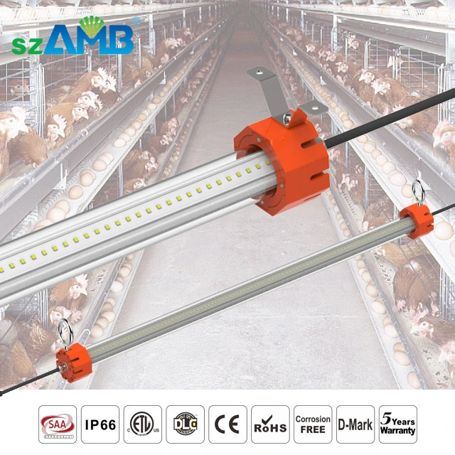 IP66 LED T13 Poultry Tube for Chicken Farm, Swine Barns, Birdcage, Sheepfold, Cowshed