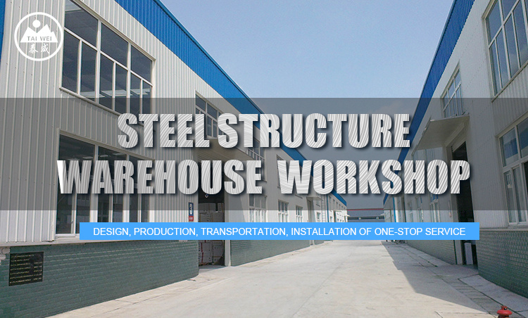 Large Span Light Weight Steel Structure Building for Warehouse/Workshop/Shed (TW816J)