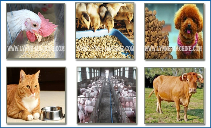 Small Dairy Farm Animal Livestock Cow Cattle Pellet Feed Production Line