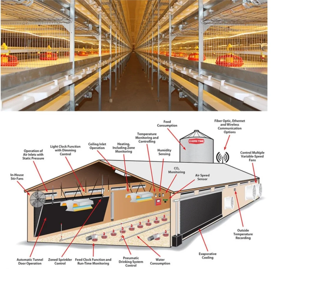 Hot Sale Galvanized Prefabricated H-Section Steel Structure for Poultry Chicken Shed with Corrugated Steel Sheet