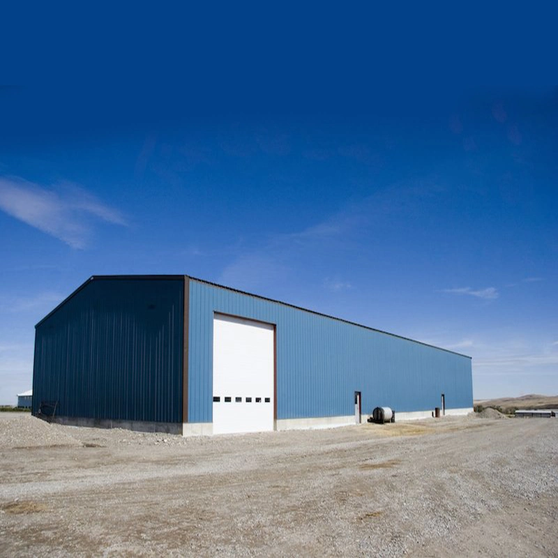 High Quality Steel Structure Hangar Storage Shed Steel Cosntruction Workshop