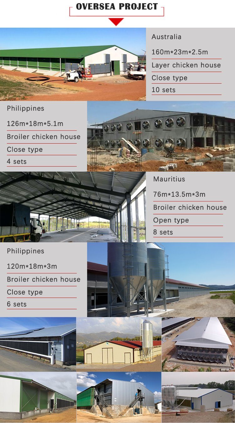 Industrial Steel Poultry House Metal Structure Chicken Farm Sheds