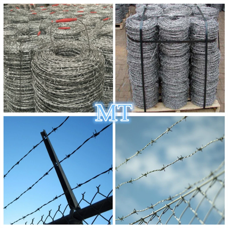 Amazon Ebay's Choice Razor Barbed Wire Galvanized Barbed Wire for Fencing (BW)