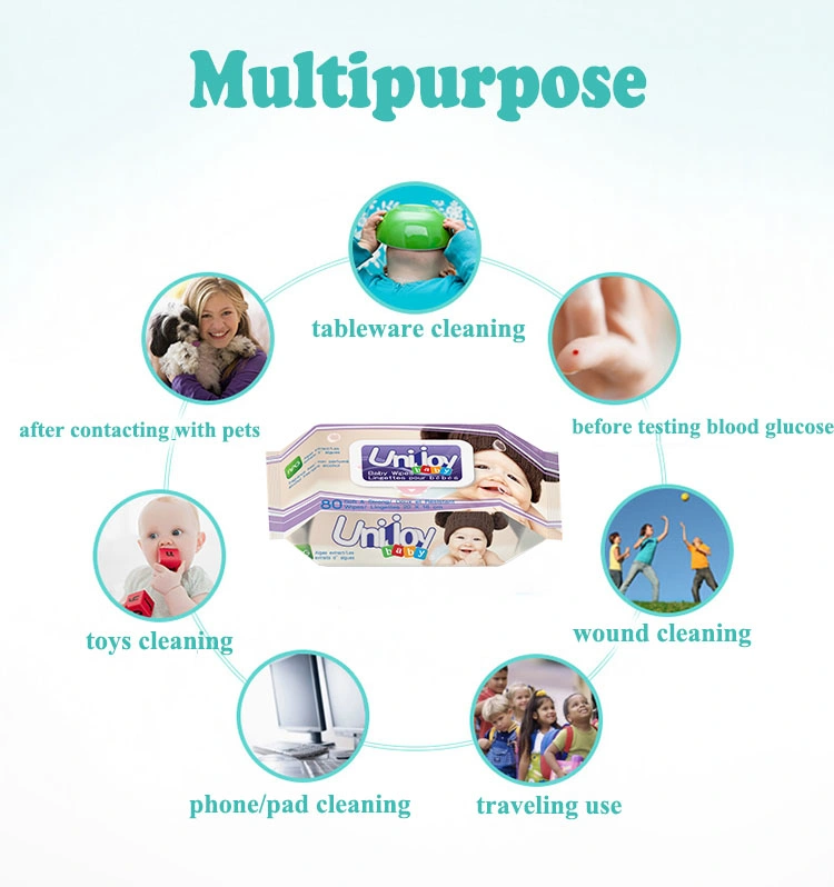 Disposable Flushable Raw Material Baby Wet Wipes Dispenser Flushable Wet Toilet Wipes Wet+Wipes