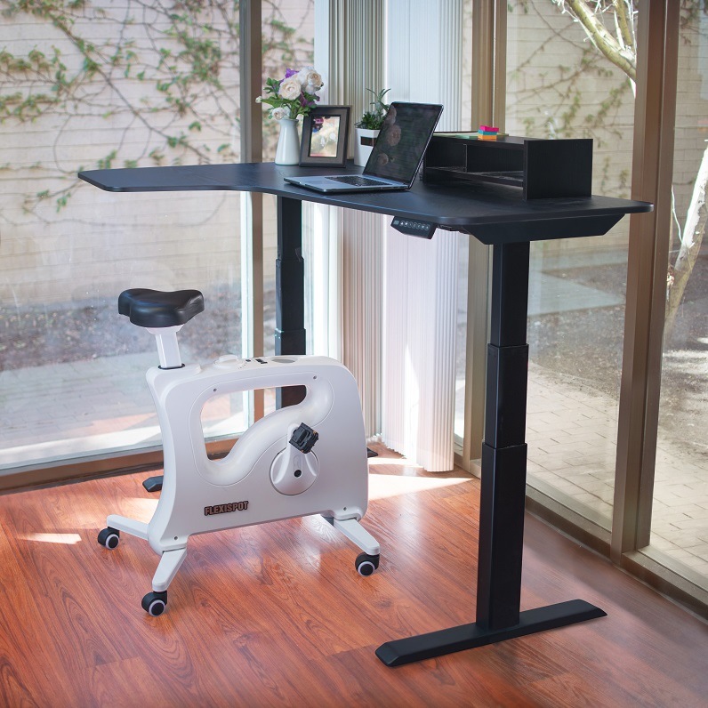 Loctek V9 Ergonomic Height Adjustable Lightweight Exercise Office Under Desk Bike