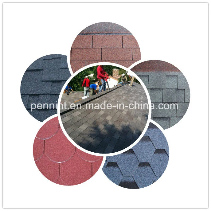 Colorful Roof Shingle Asphalt Anti-Aging Building Materials