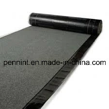 Building Material/ Construction Material/ Roofing Material / Bitumen Sheet/ Sbs/APP Bitumen Waterproof Membrane