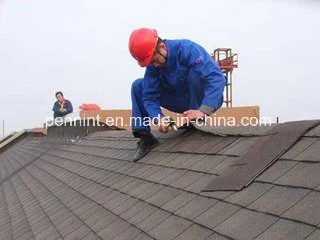 Colorful Roof Shingle Asphalt Anti-Aging Building Materials