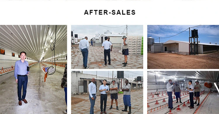 Professional Design Steel Construction Steel Structure Light Steel Frame