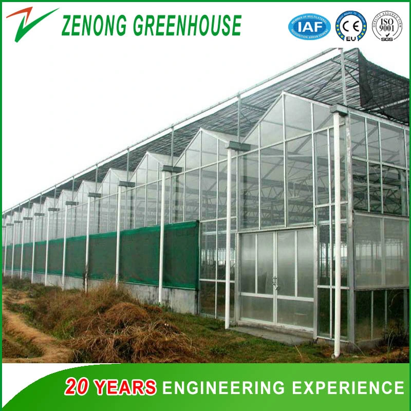 Hot DIP Galvanized Steel Frame Greenhouse Covered with Glass for Seed Breeding/Exhibition/Planting/Restaurant