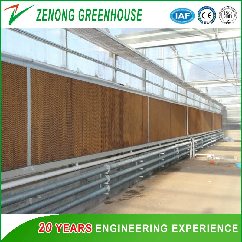 Hot DIP Galvanized Steel Frame Greenhouse Covered with Glass for Seed Breeding/Exhibition/Planting/Restaurant