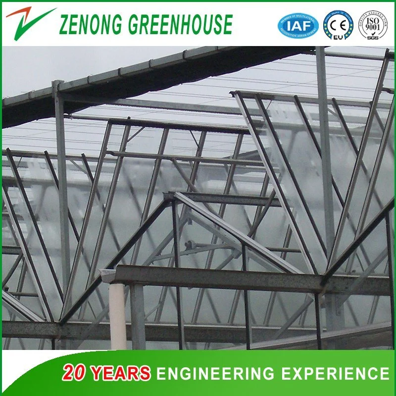 Hot DIP Galvanized Steel Frame Greenhouse Covered with Glass for Seed Breeding/Exhibition/Planting/Restaurant