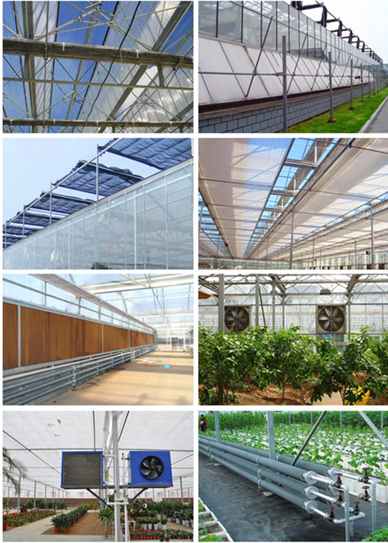 Hot DIP Galvanized Steel Frame Greenhouse Covered with Glass for Seed Breeding/Exhibition/Planting/Restaurant