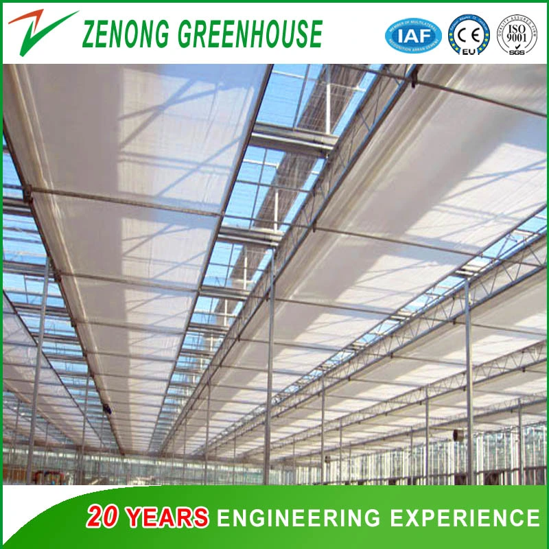 Hot DIP Galvanized Steel Frame Greenhouse Covered with Glass for Seed Breeding/Exhibition/Planting/Restaurant