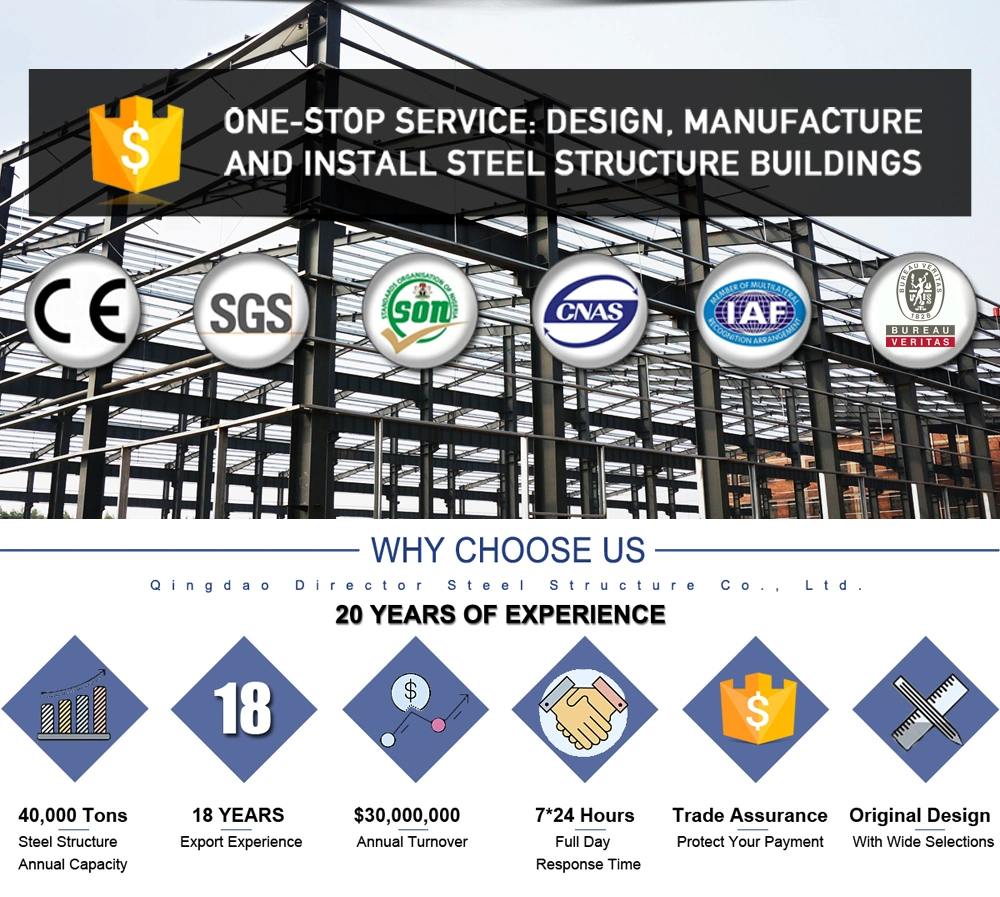 Prefab Iron Frame Steel Structure Hangar Shed Metal Use Building