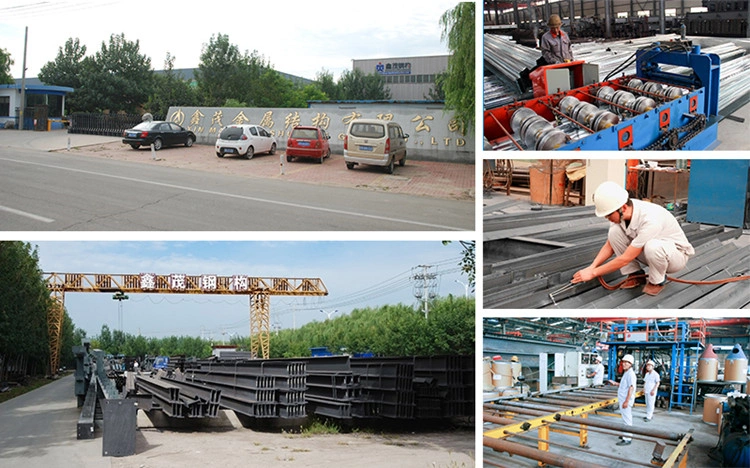 Professional Design Steel Construction Steel Structure Light Steel Frame