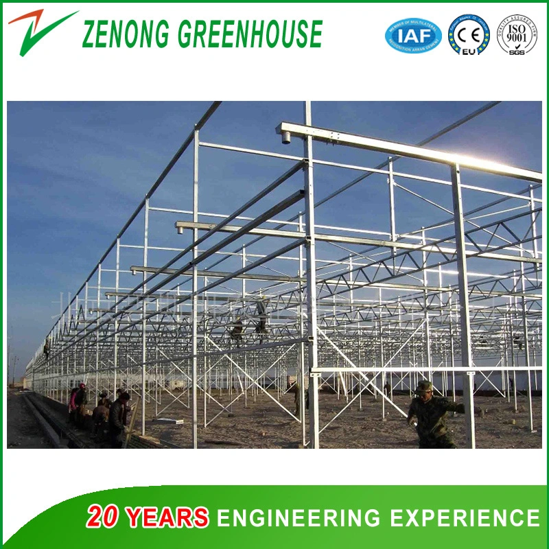 Hot DIP Galvanized Steel Frame Greenhouse Covered with Glass for Seed Breeding/Exhibition/Planting/Restaurant