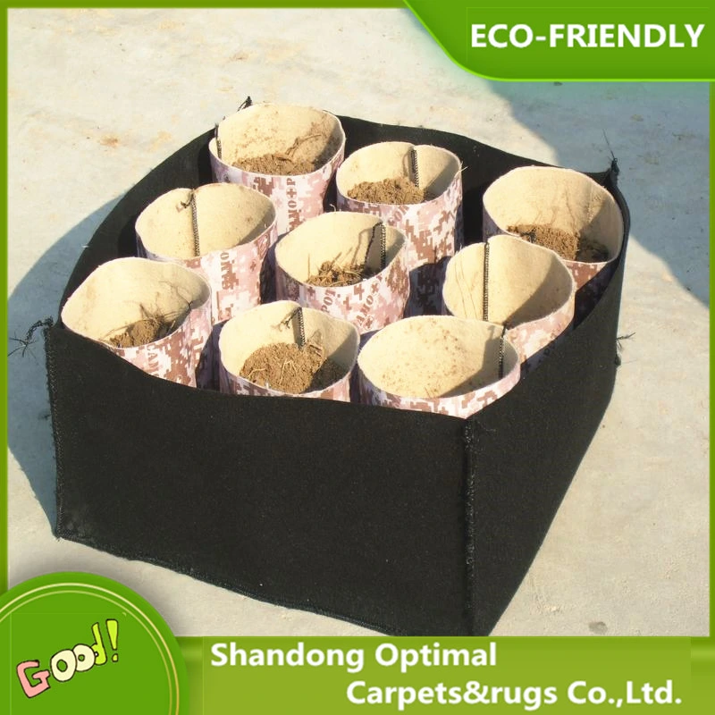 Eco-Friendly Fabric Grow Bag with Handles Smart Pot Garden Planting Bag