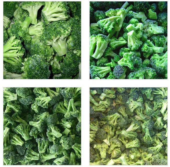 Frozen Broccoli Broccolifrozenfrozen Brc Certified IQF Frozen Broccoli with Competitive Price