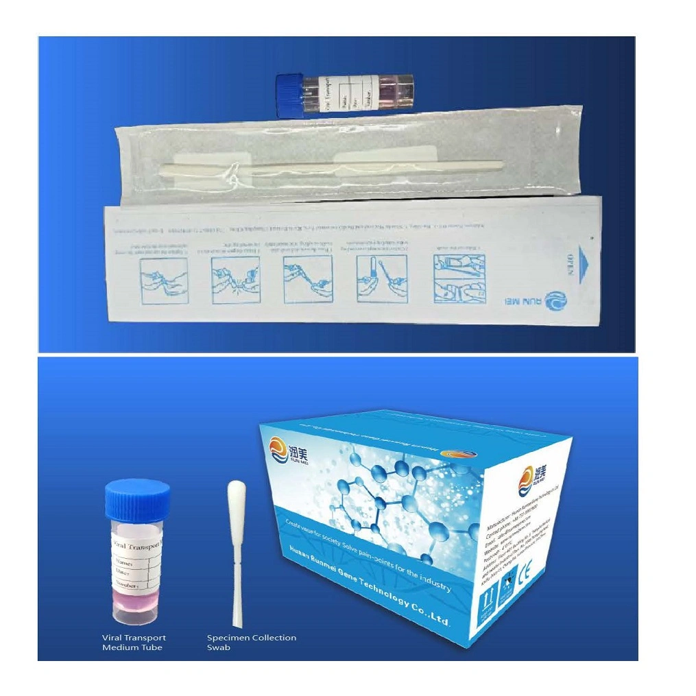 Disposable Flocked Nylon Swab Collecting Sterile Nasal Swab