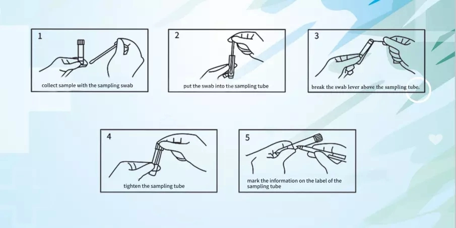 Disposable Sampling Tube with Throat Swab and Nasal Swab