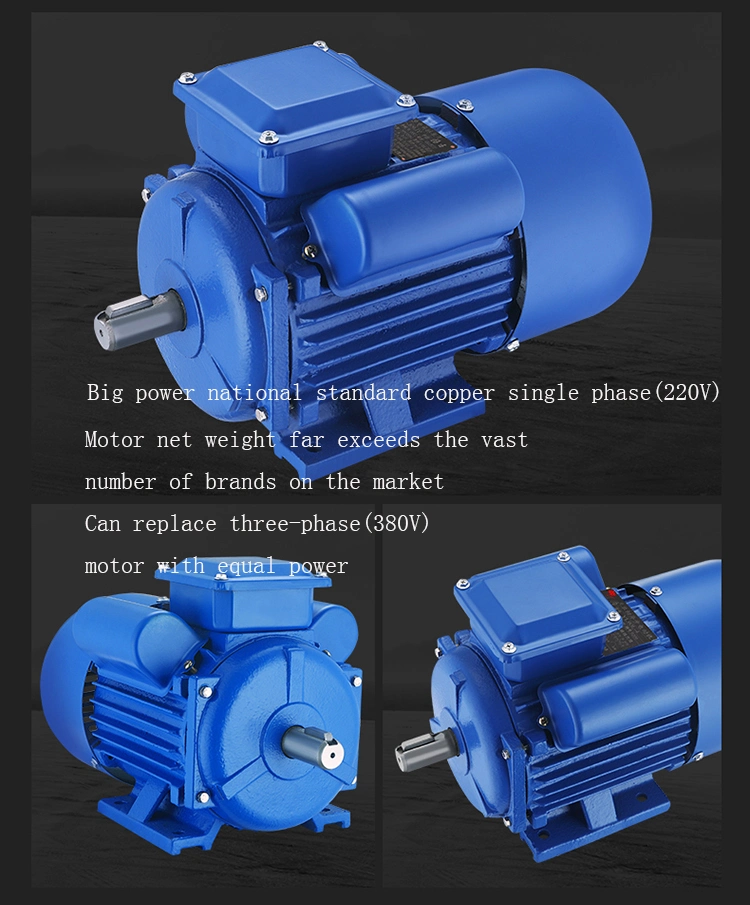 Yc Single Phase Electric Motor Yl Coconut Grater