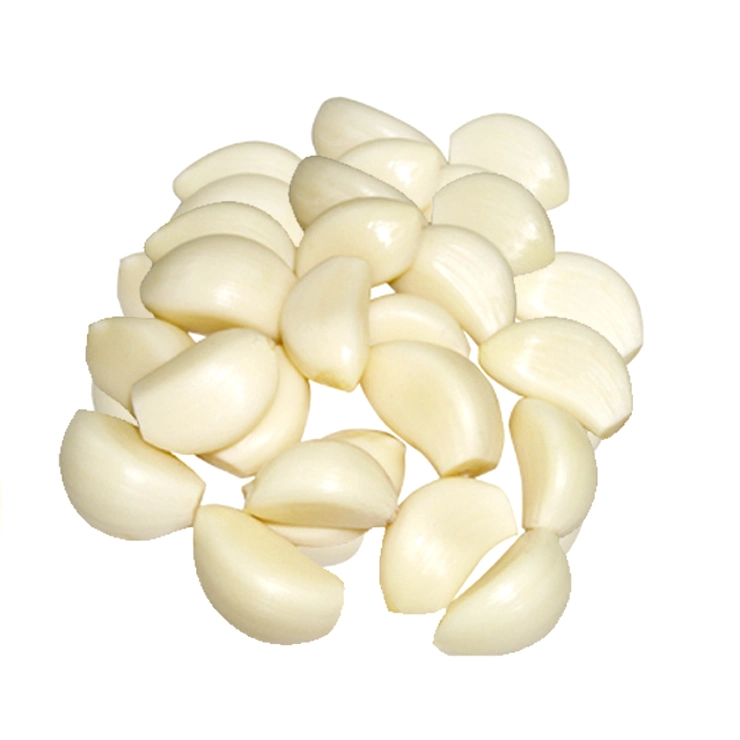 Peeled Garlic Garlic Peeled Garlic Fresh Peeled Garlic From China