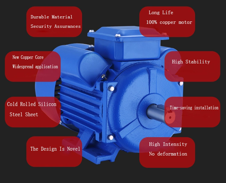 Yc Single Phase Electric Motor Yl Coconut Grater