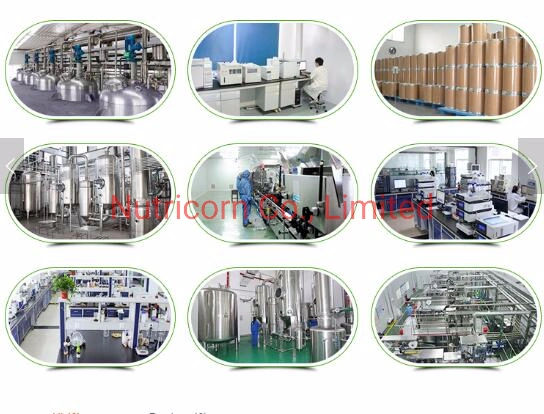 Best Price Feed Additive L-Lysine Sulphate 70% for Animal Health