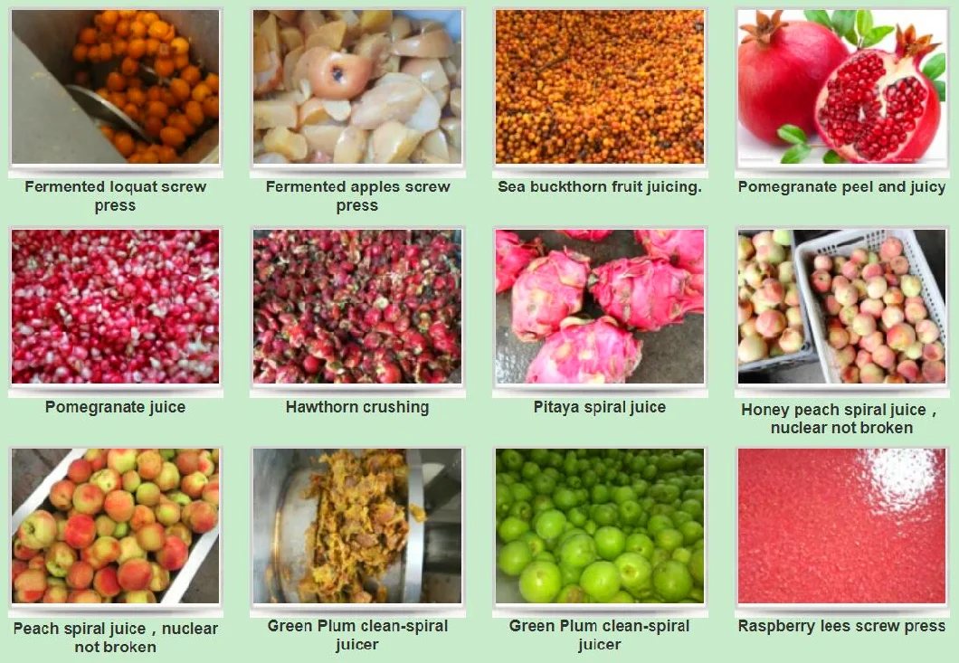 Crude Medicine, Vegetables, Fruits, Animal Manure Kitchen Waste Dewatering Dehydrator Machine