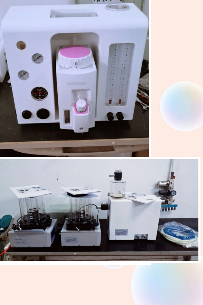 Ha-V Portable Anesthesia Machine for Veterinary Use