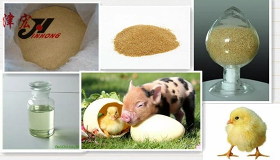 Supply Animal Health Choline Chloride 50% 60% Powder