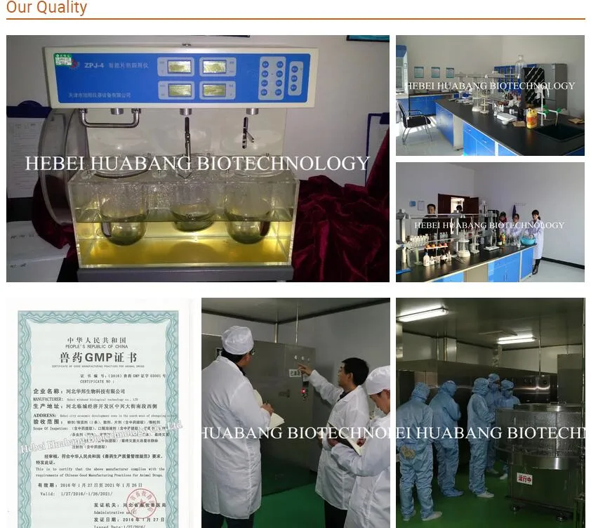 Effective Veterinary Drug/ Cow Medicine Enrofloxacin Injection