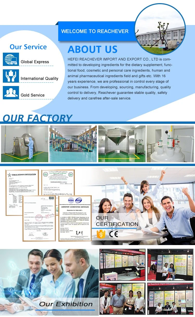 Veterinary Medicine Product Albendazole with Best Price