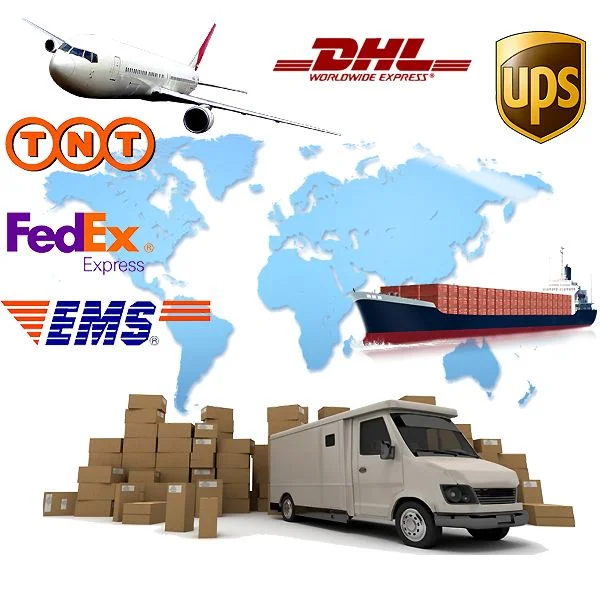 Triplefast Logistics DHL Shipping Cost to Kenya Shipping Agent to Kenya