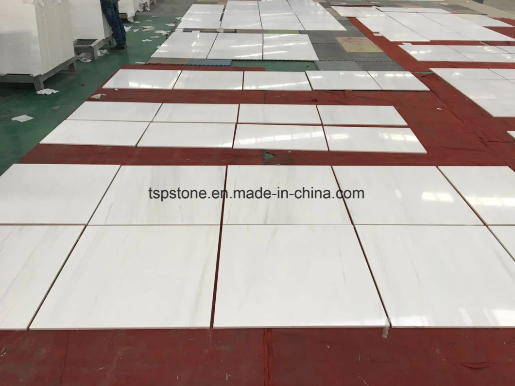 High Quality Bianco Dolomite White Marble Tile From Turkey