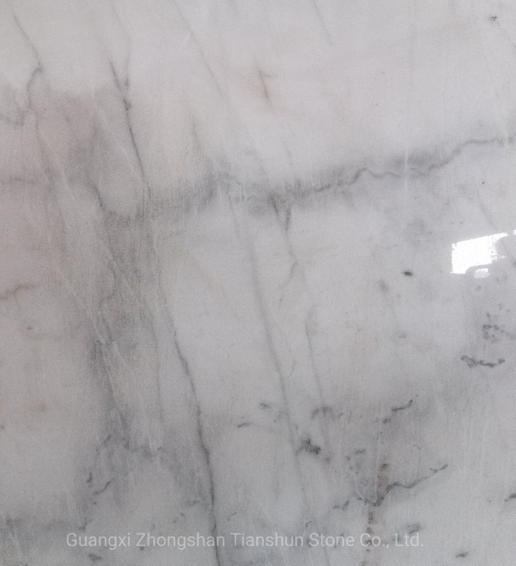 Similar Carrara Marble Floor Tile Name Guangxi White Marble