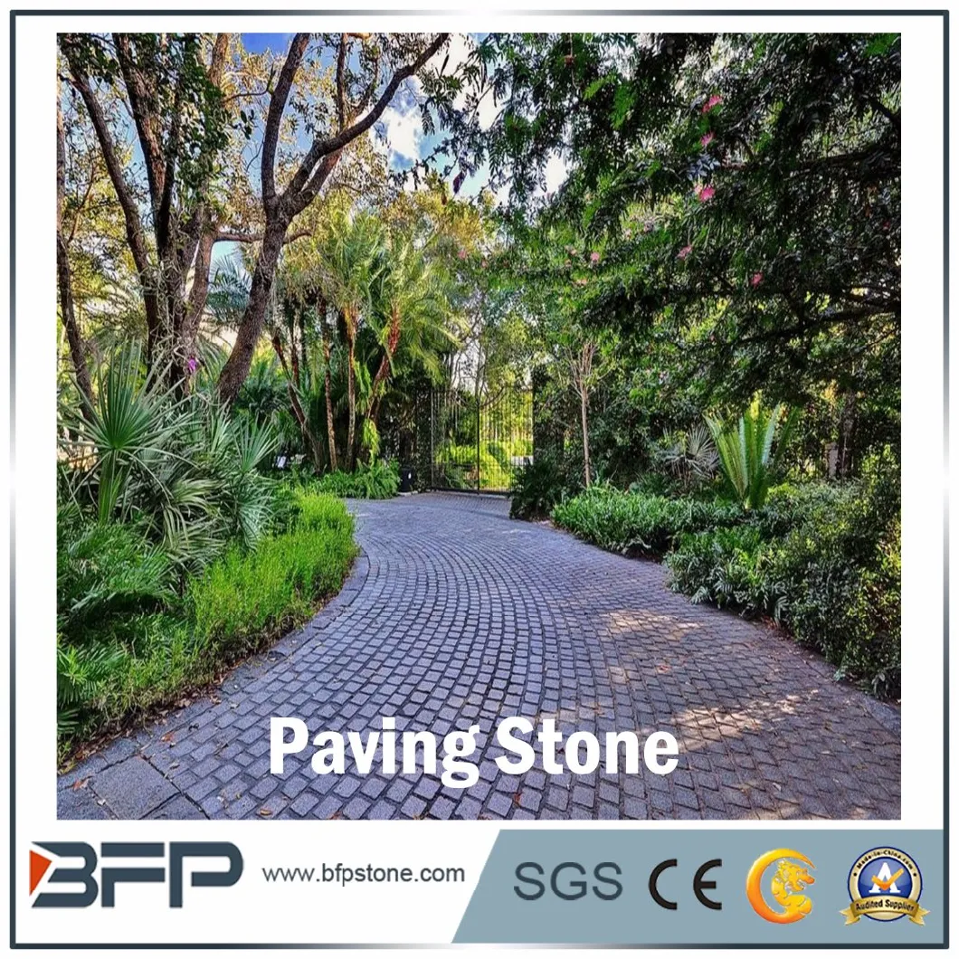 Natural Black Basalt/Slate/Tumbled/Sandstone/Porphyr/Granite Stone Pavement/ Cubes/Blind/Paver Stone/Paving Stone