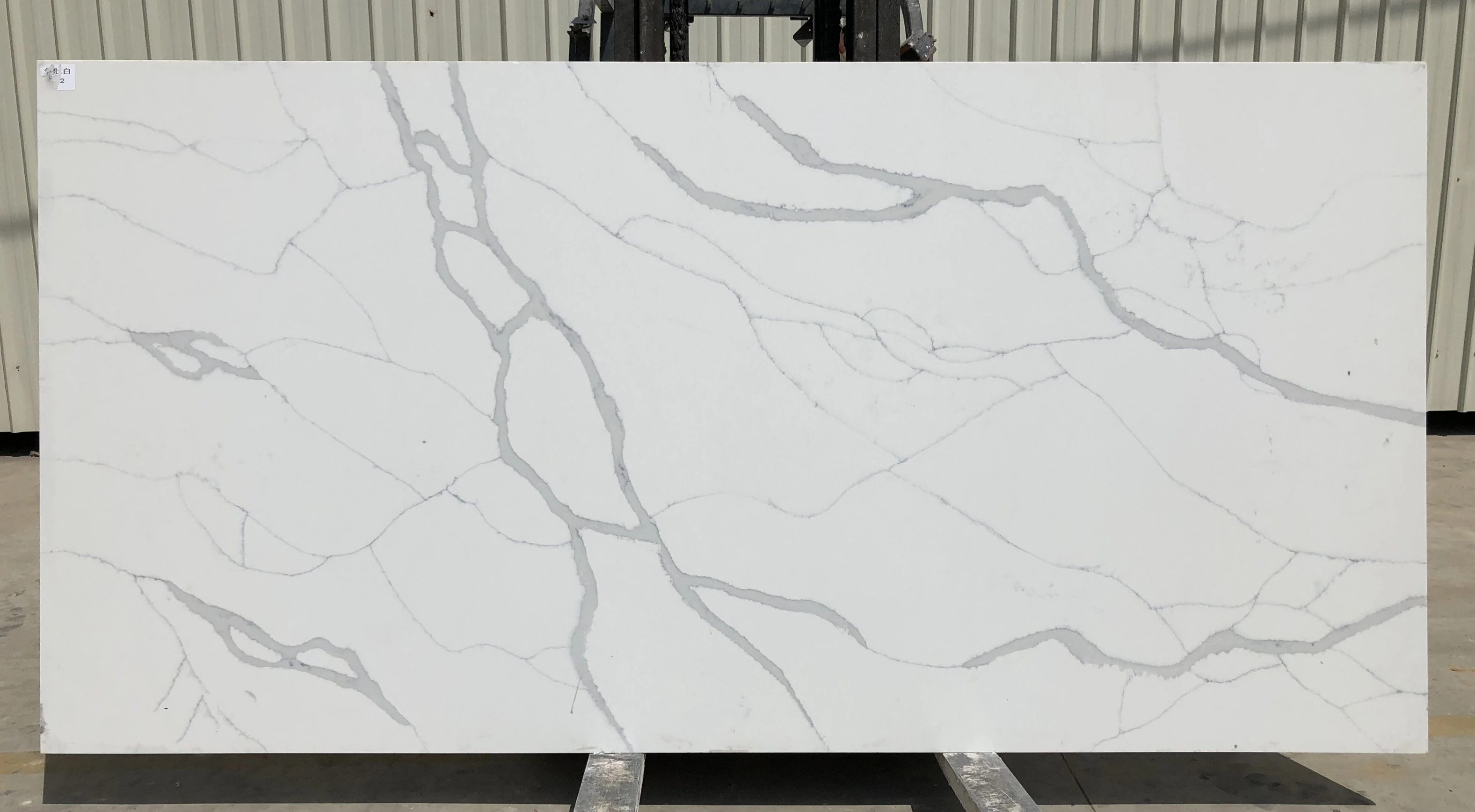 Calacatta Michelangelo Marble