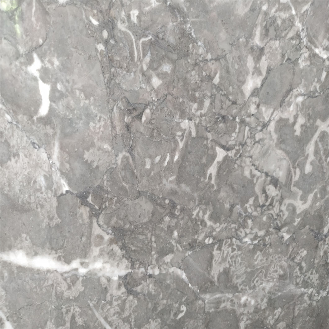 Griss Grey Marble Slab for Kitchen/Bathroom/Wall/Floor