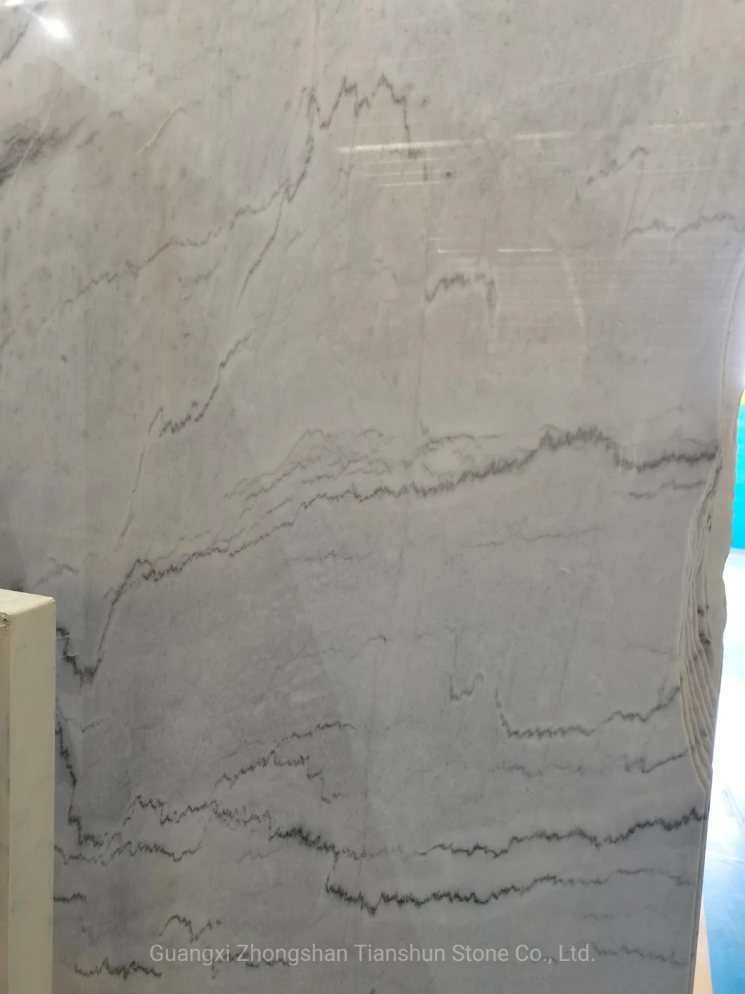 Stone Building Material Bianco Statuario Venato Marble Factory Price