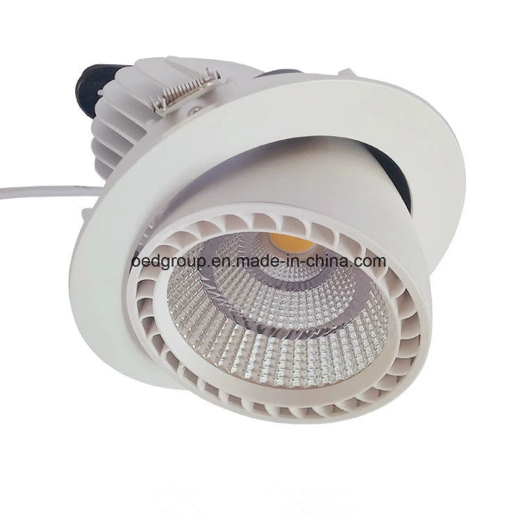 10W 3 Inch LED Gimbal Light with 24/38/60 LED Beam Angle From China Supplier