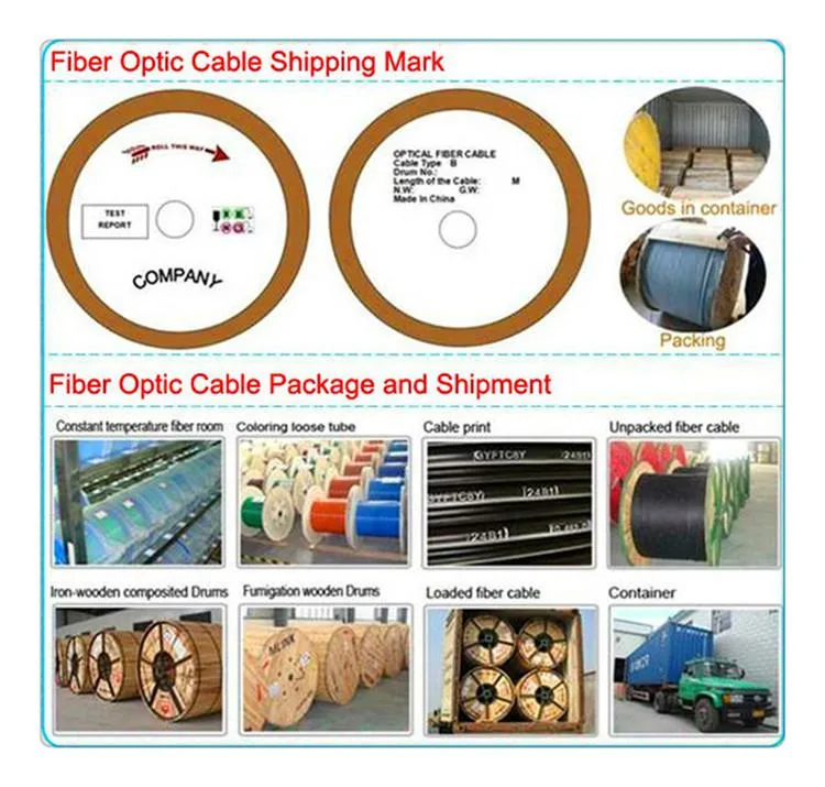 Manufacturers of Outdoor Fiber Optics Armoured 24 48 96 144 288core Fiber Optic Cable (GYTY53)