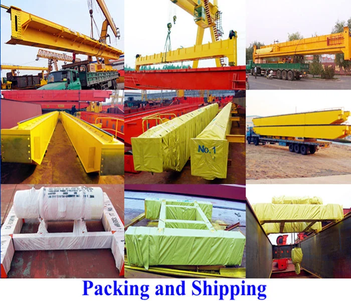 Light Duty Double Beam Overhead Crane for Various Factories